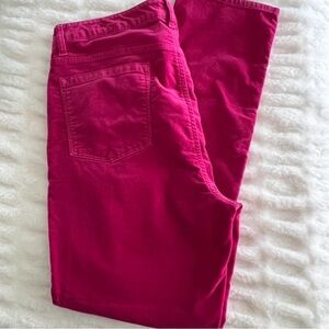 Talbots Velveteen Pink Pants